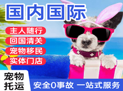 三沙永兴空运代理国际宠物托运 【国